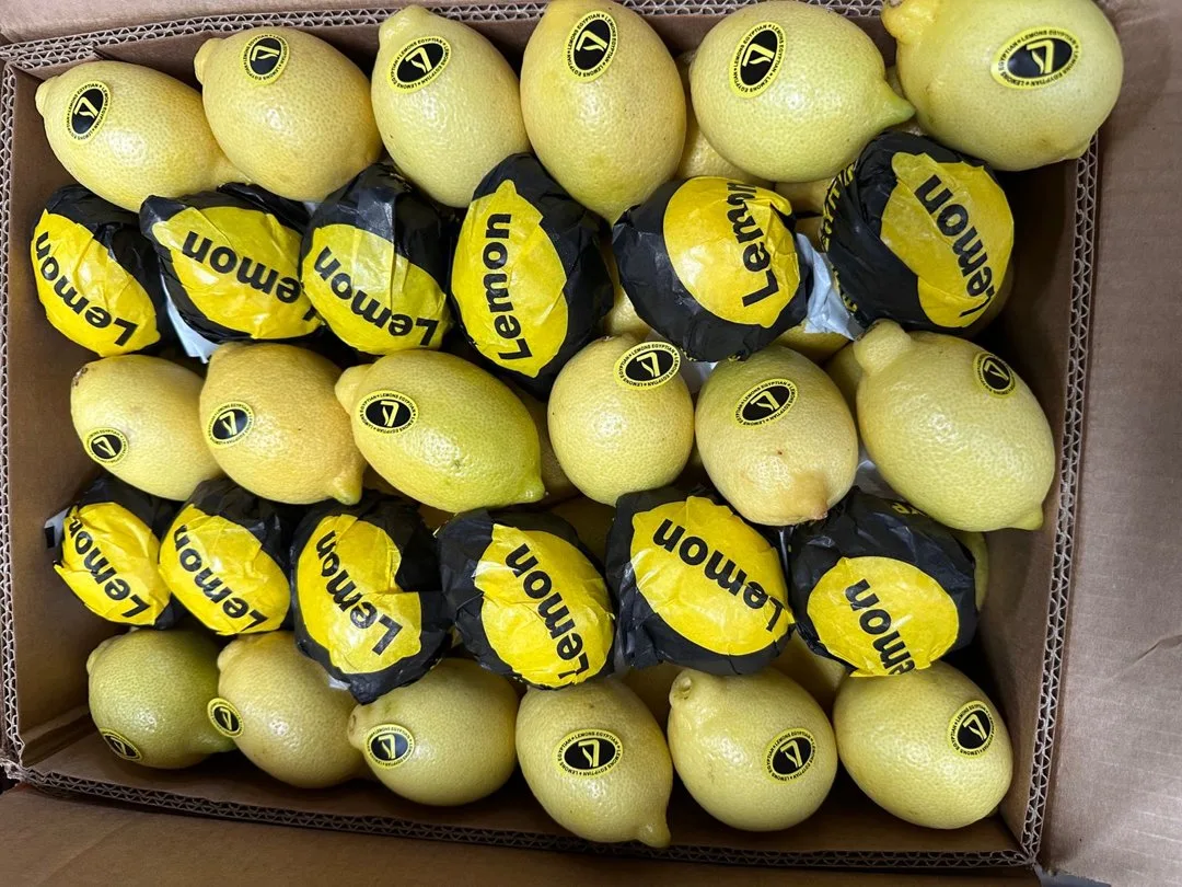 Egyptian Lemons