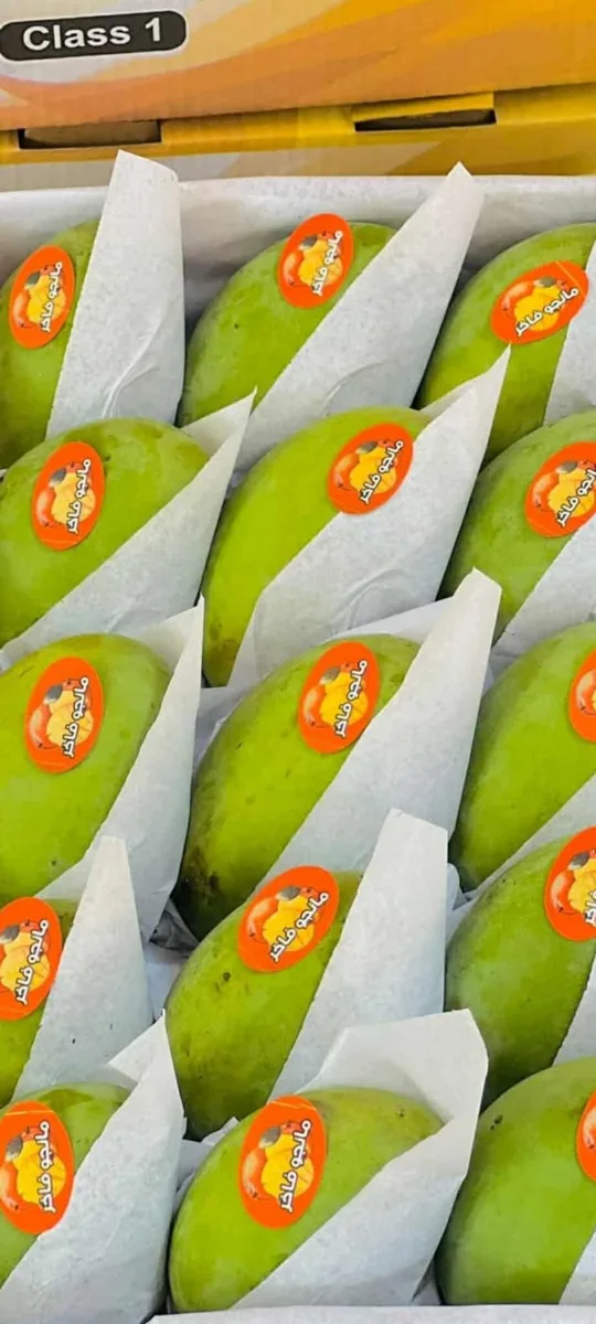 Product gallery: Mangoes