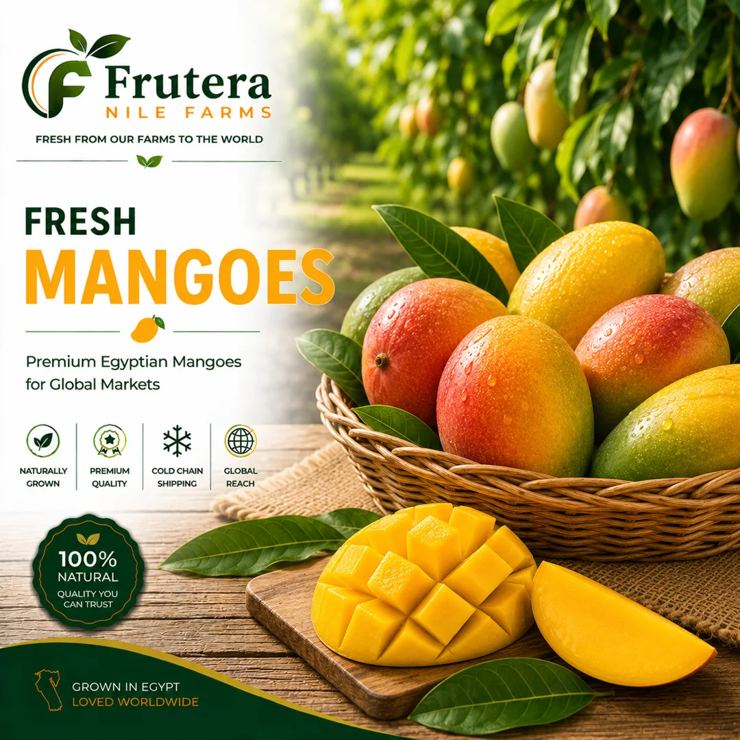Egyptian Mangoes