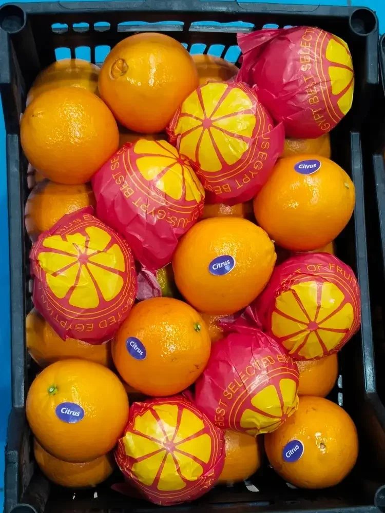 Egyptian Oranges