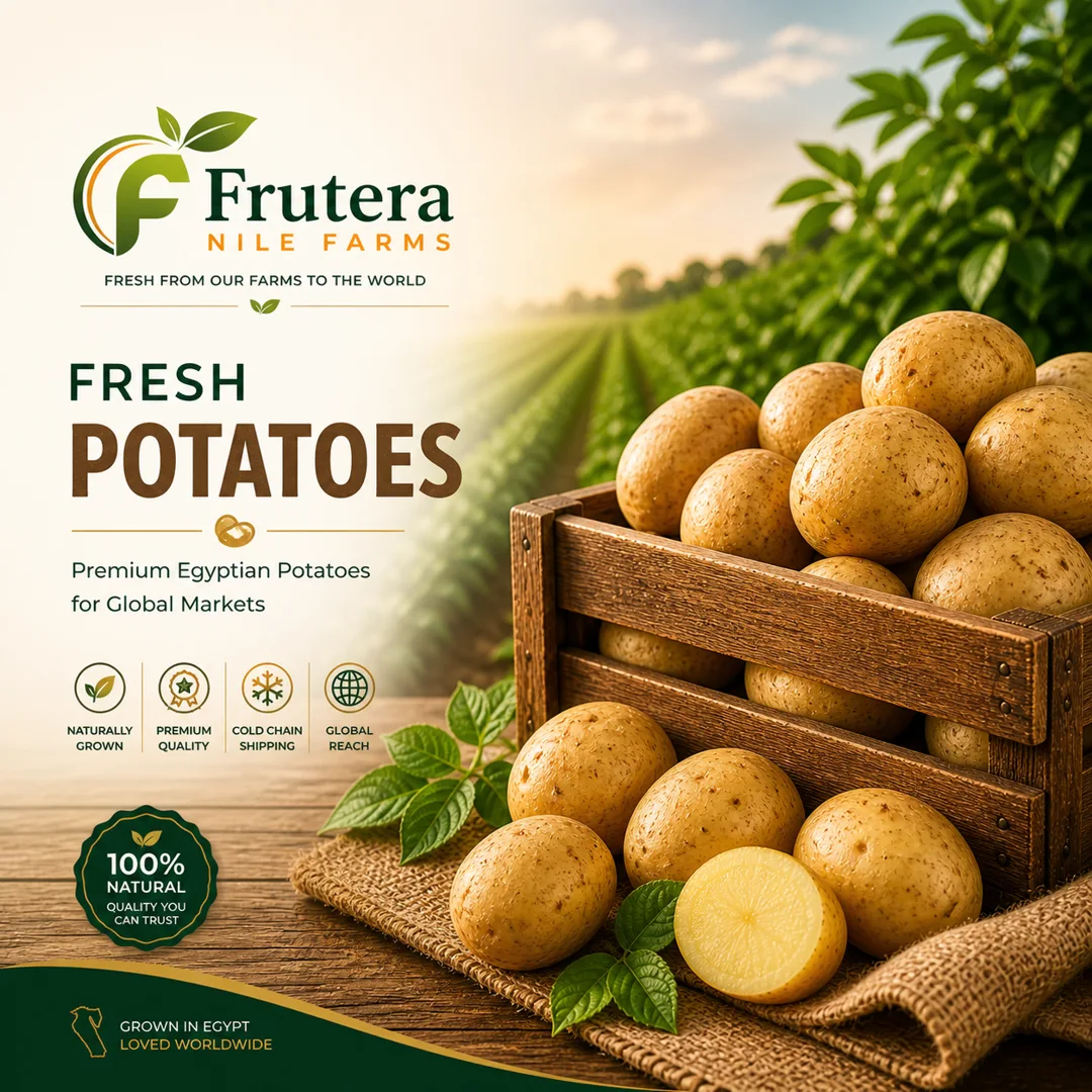 Egyptian Potatoes