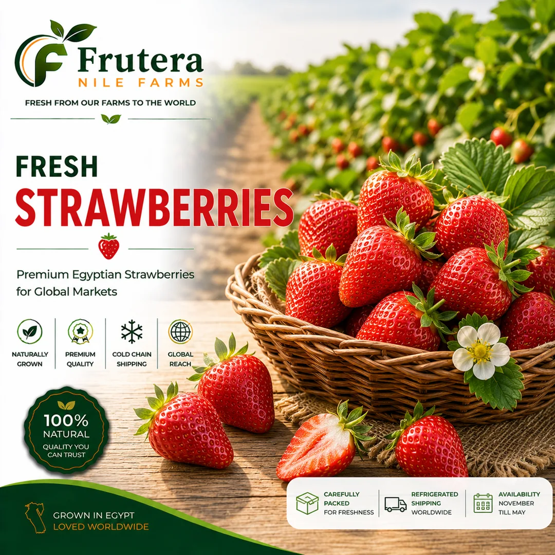 Egyptian Strawberries