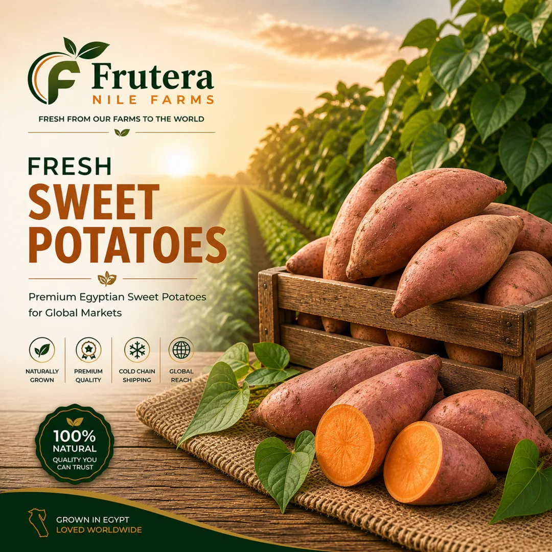 Egyptian Sweet potatoes